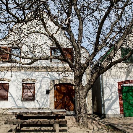 Hotel Berger Pince-Vendeghaz, Hajosi Pincek Zewnętrze zdjęcie